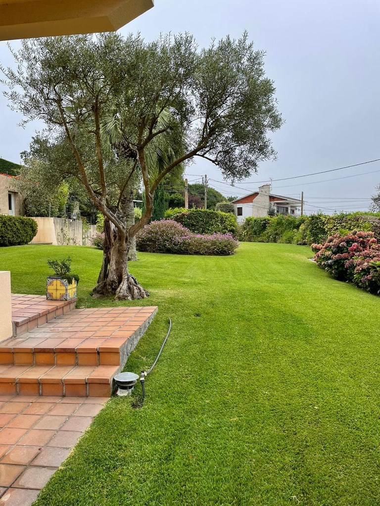 5 consejos para una correcta iluminación del jardín