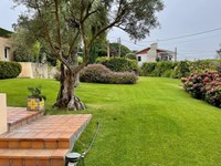 5 consejos para una correcta iluminación del jardín