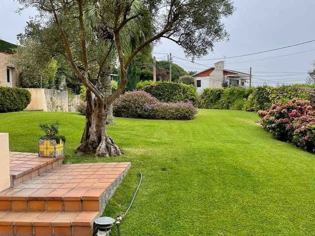 5 consejos para una correcta iluminación del jardín