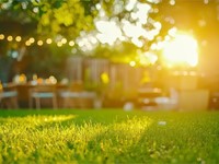 5 tips para un jardín perfecto y sano en verano