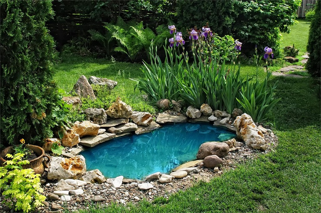 Beneficios de instalar un estanque en tu jardín