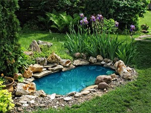 Beneficios de instalar un estanque en tu jardín