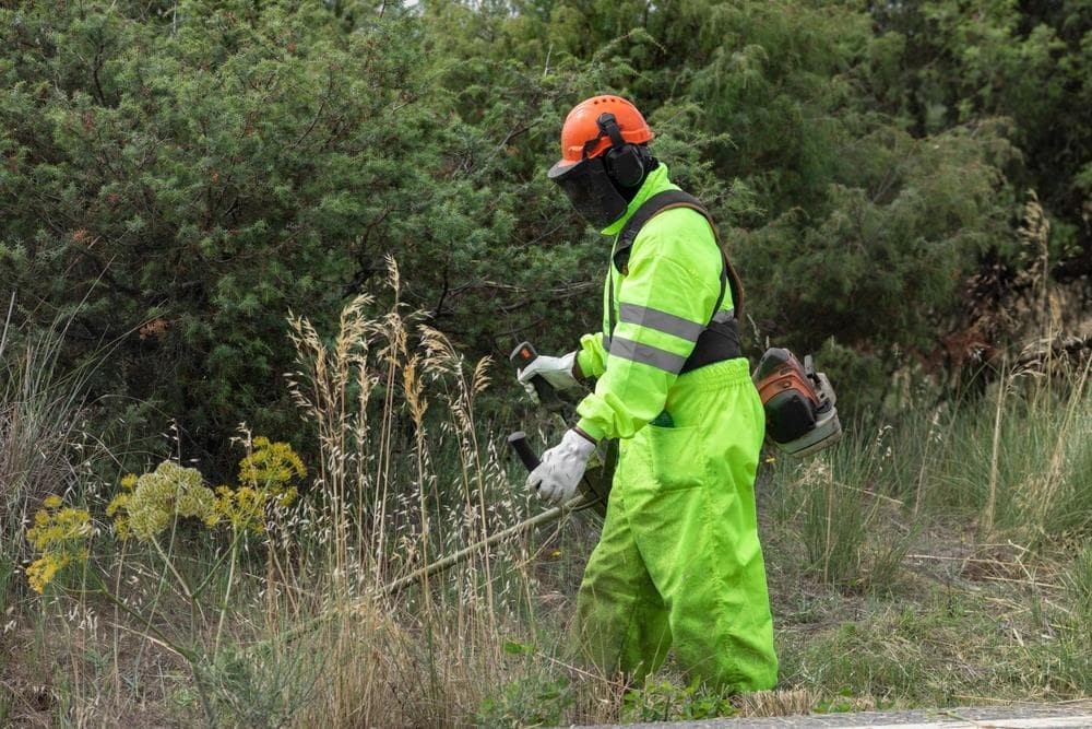 ¿Cada cuánto se debe desbrozar una finca? 