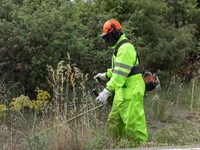 ¿Cada cuánto se debe desbrozar una finca? 