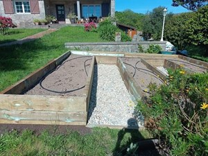 ¿Cómo el riego nocturno puede salvar tu jardín este verano?