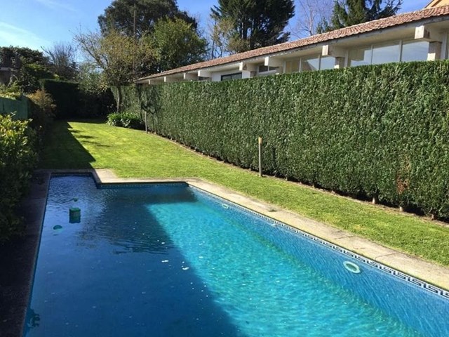 Cómo preparar el jardín de tu piscina para la temporada de baño