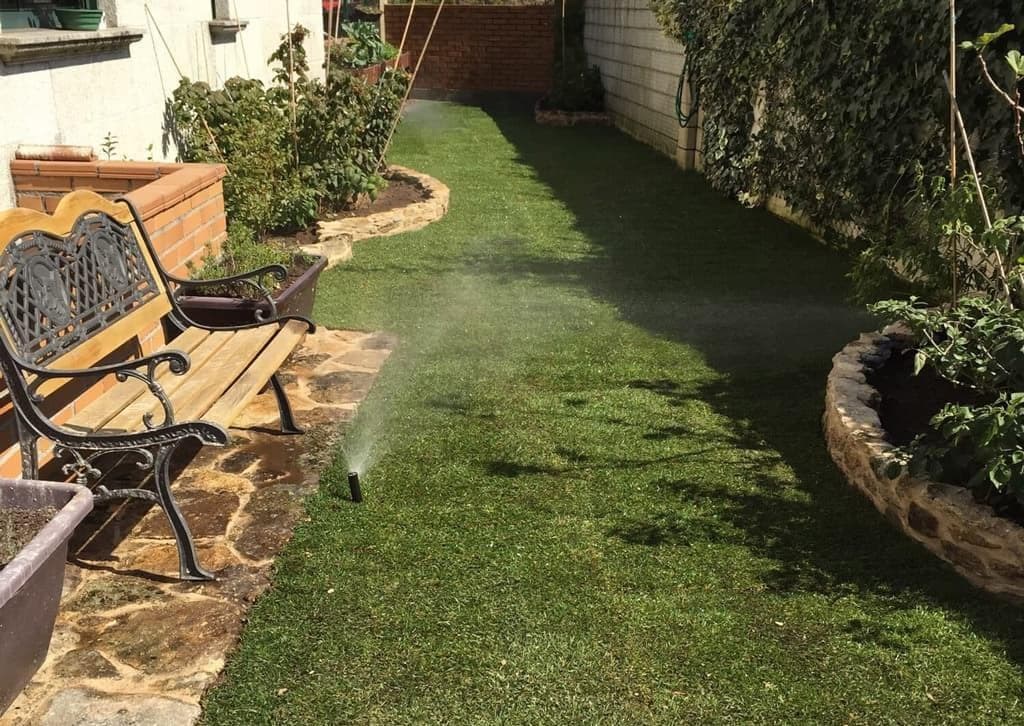 ¿Cuándo regar en otoño y qué tener en cuenta?