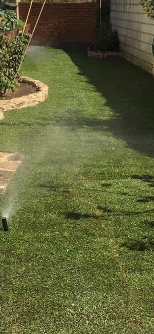 ¿Cuándo regar en otoño y qué tener en cuenta?