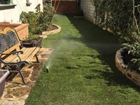 ¿Cuándo regar en otoño y qué tener en cuenta?