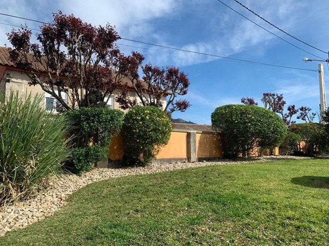 ¿Cuándo utilizar fitosanitarios y cuáles son los que necesito?