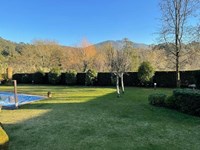 ¿Cuándo y cuánto tiempo es recomendable regar el jardín?