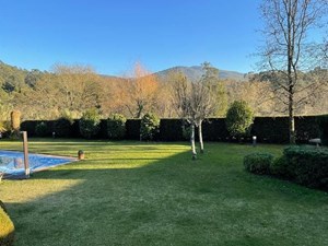 ¿Cuándo y cuánto tiempo es recomendable regar el jardín?