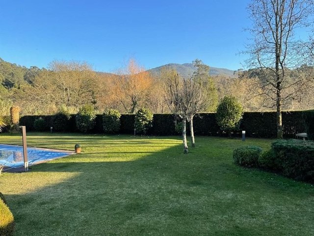 ¿Cuándo y cuánto tiempo es recomendable regar el jardín?