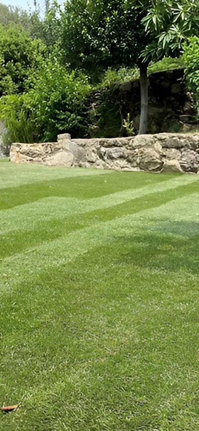 Cuidados del césped artificial