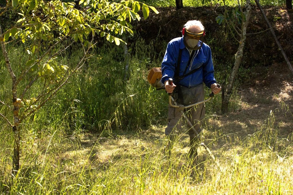 Desbroce de lindes y zonas forestales: ¿Qué tener en cuenta?