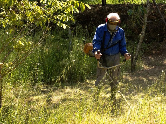 Desbroce de lindes y zonas forestales: ¿Qué tener en cuenta?