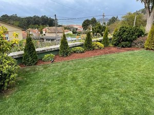 Desmintiendo 3 mitos sobre el mantenimiento de jardines