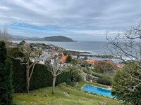 ¿Es el invierno la mejor estación para la tala de árboles?