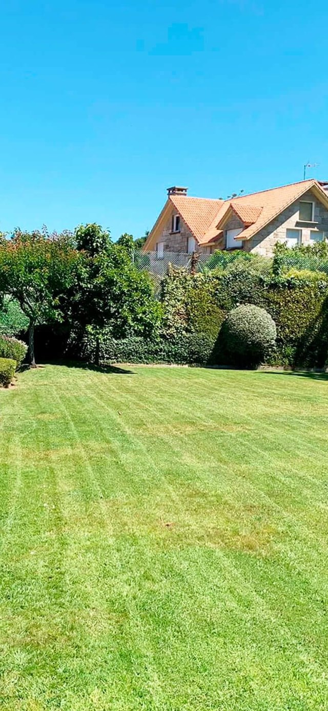 Especialistas en diseño de jardines en Pontevedra