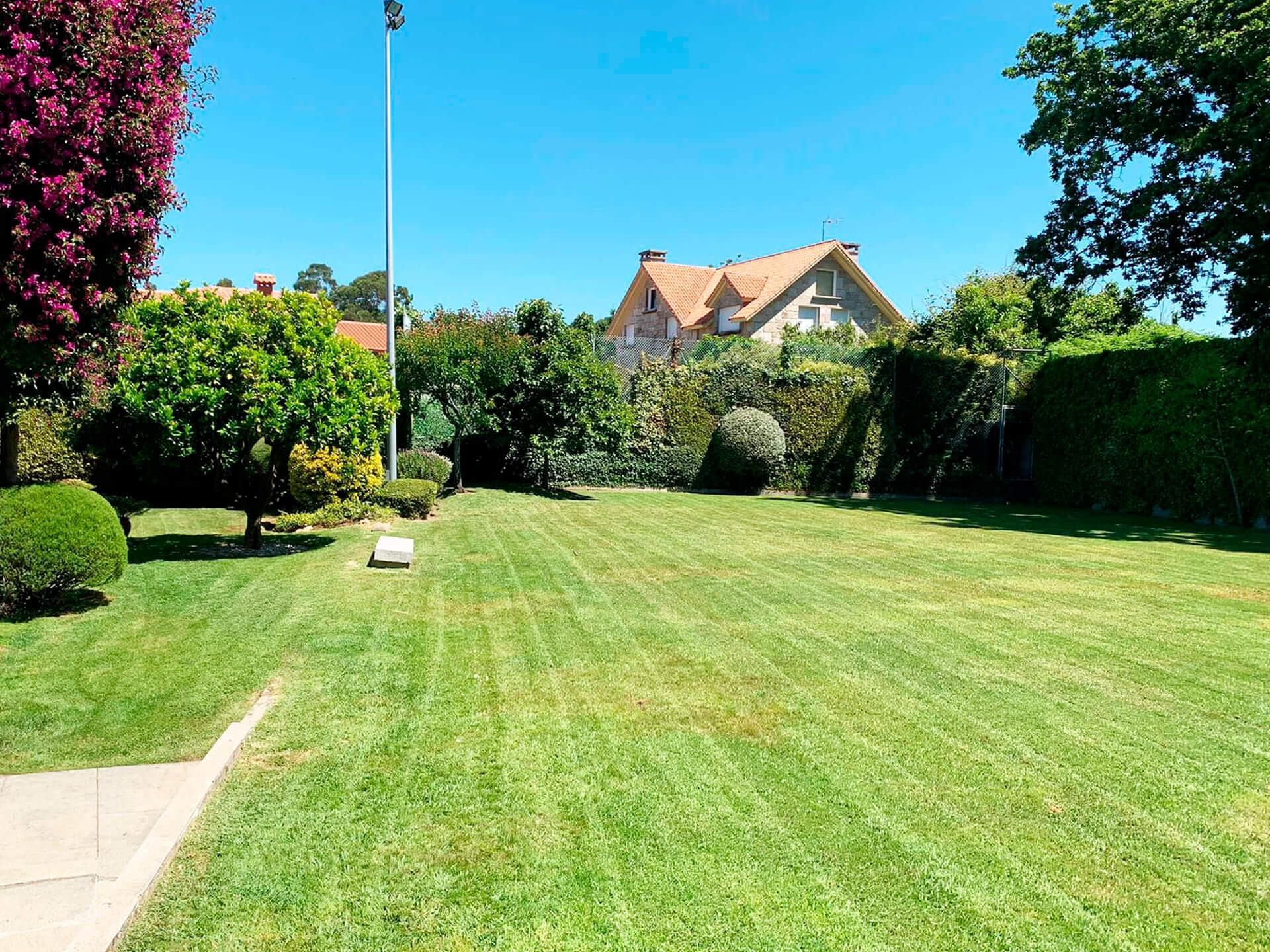 Especialistas en diseño de jardines en Pontevedra