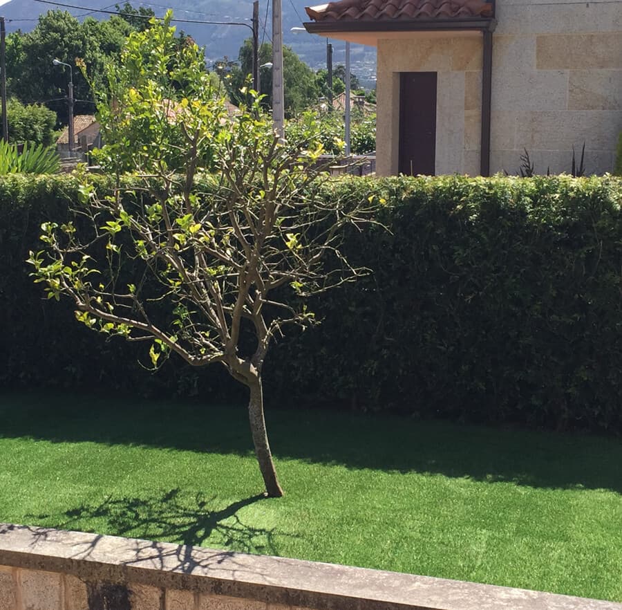 Trabajos Jardinería - Grupo Edén