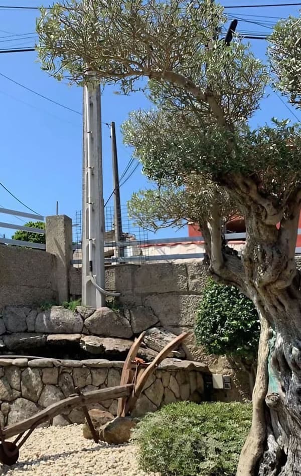 diseño de jardines en Pontevedra