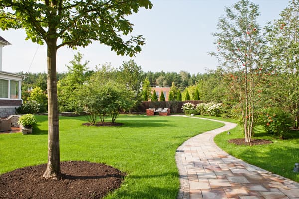 diseño de jardines pequeños en Pontevedra