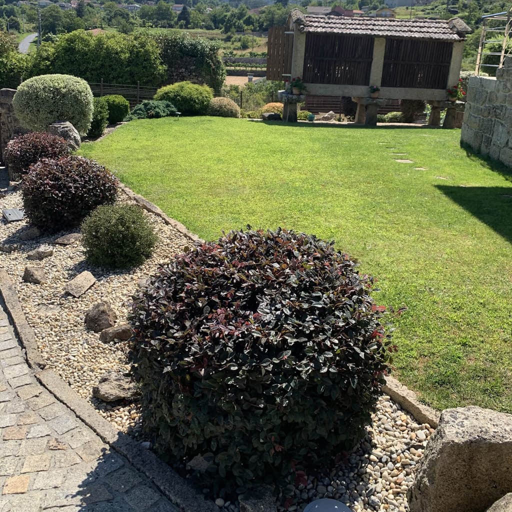 ¿Cuánto cuesta un servicio de puesta a punto del jardín en Pontevedra?