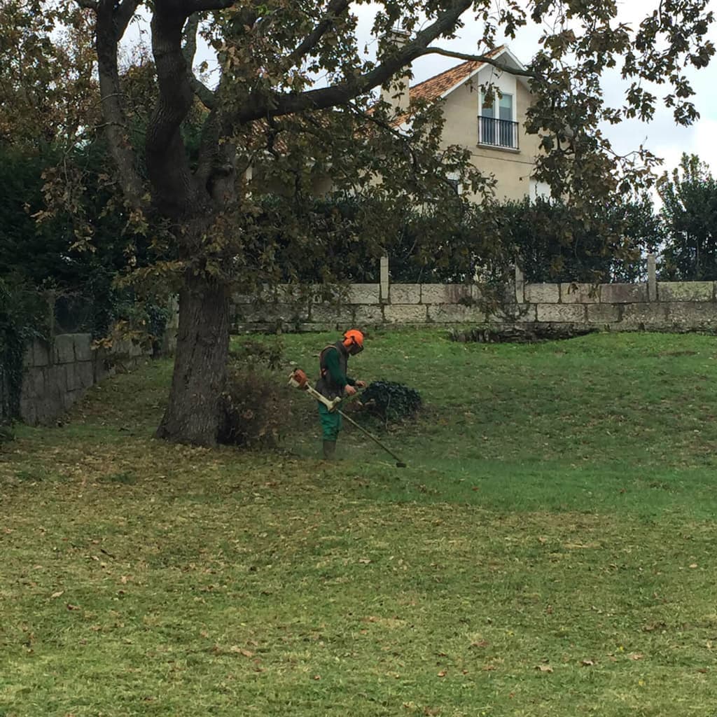 ¿Qué tipos de desbroces realizamos en Pontevedra?