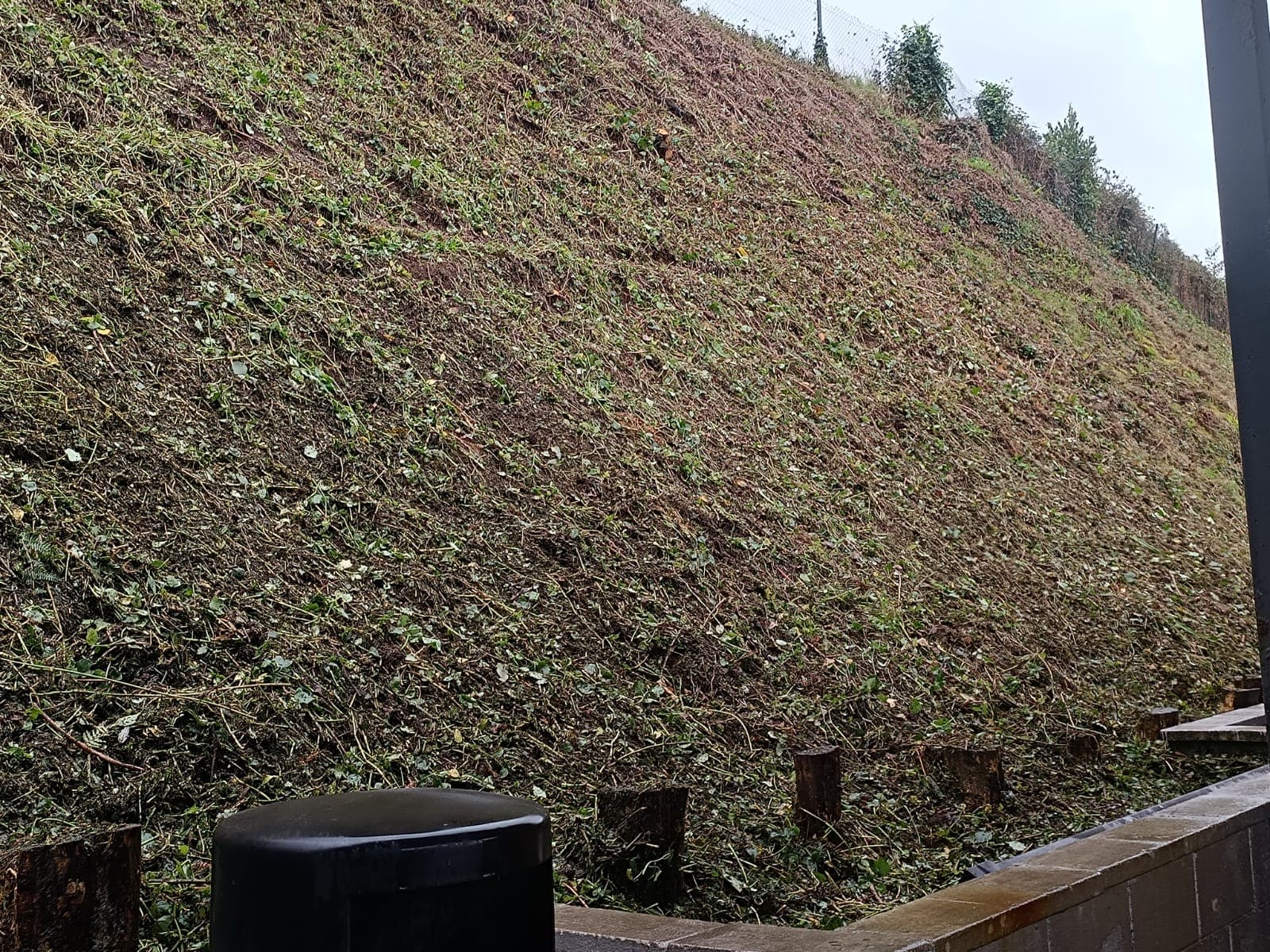 Trabajos Desbroces- Grupo Edén