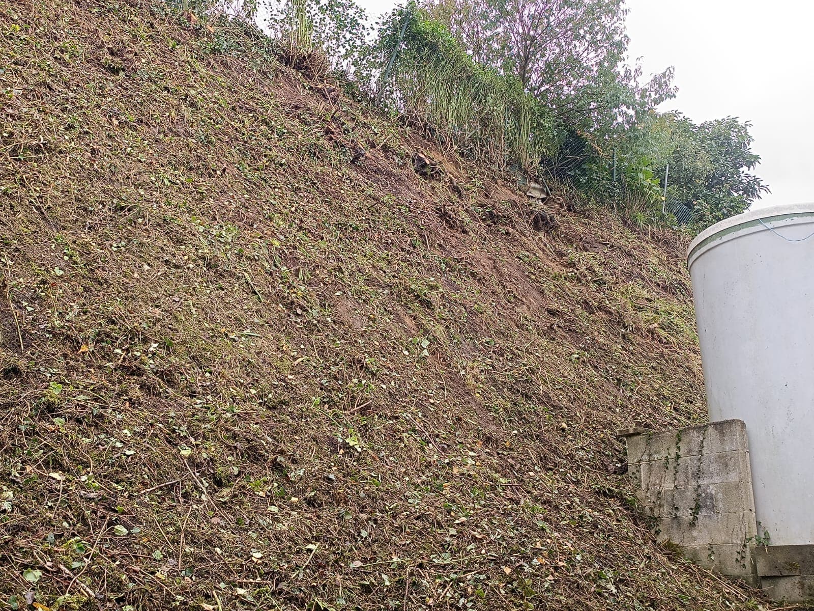 Trabajos Desbroces- Grupo Edén