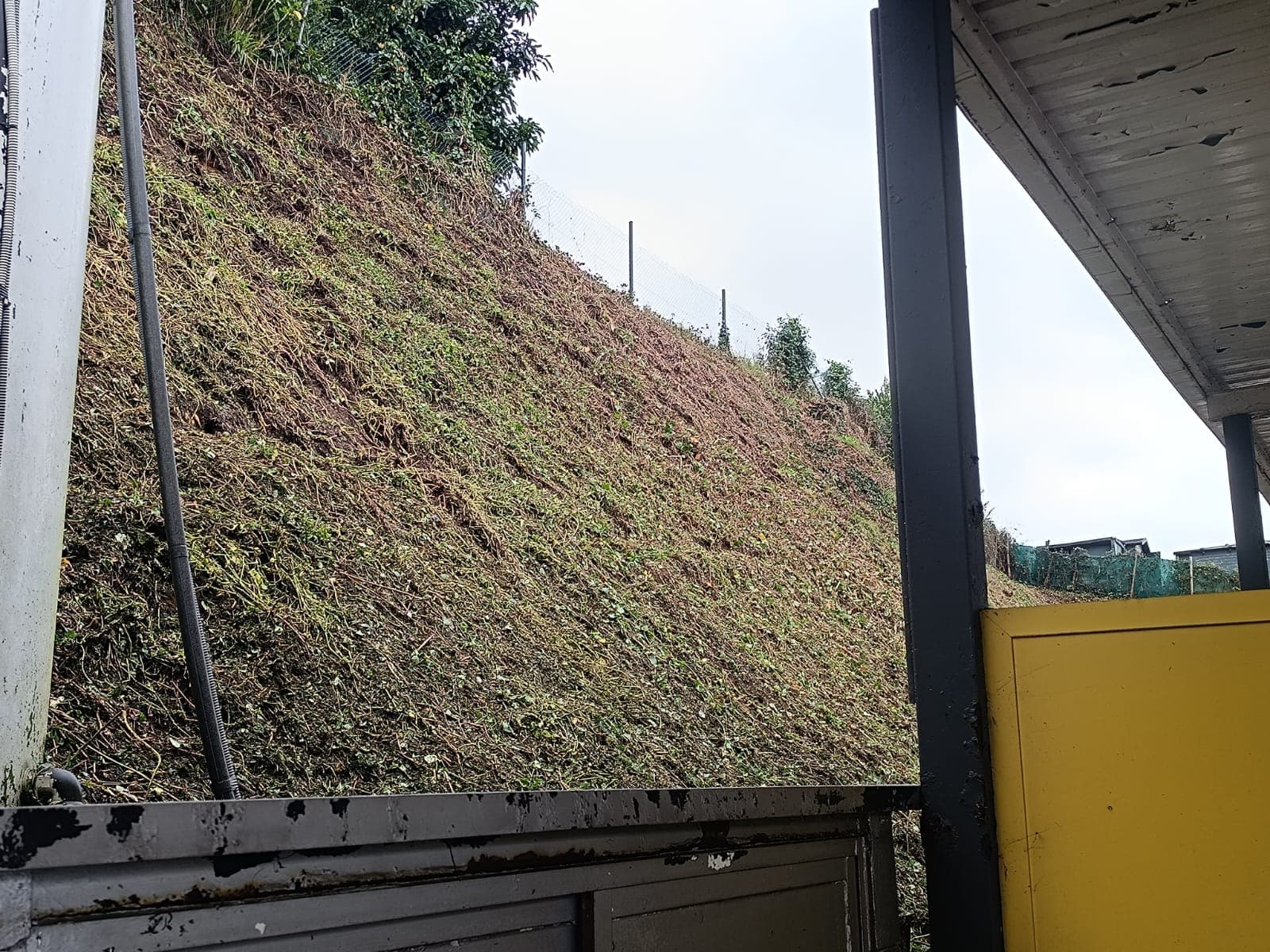 Trabajos Desbroces- Grupo Edén