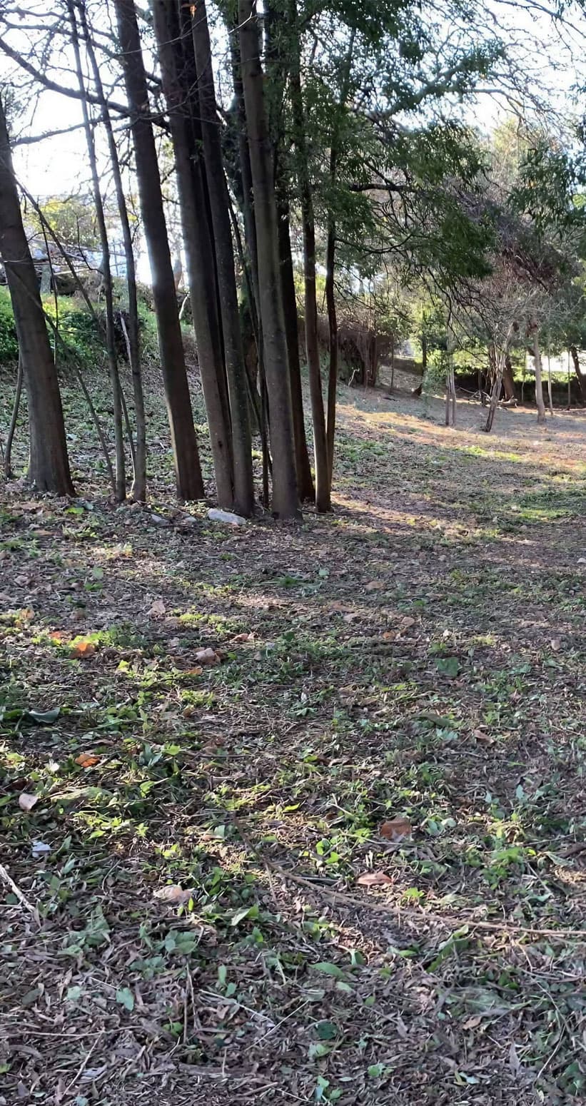 Especialistas en desbroces en Pontevedra