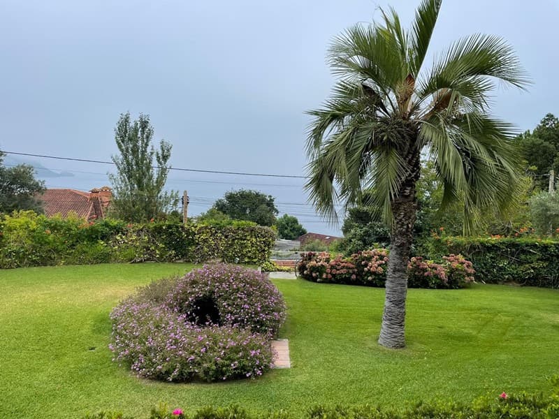 Trabajos Jardinería - Grupo Edén