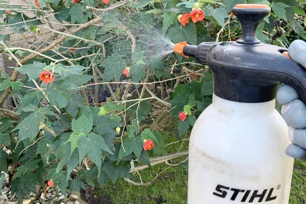 Tratamientos fitosanitarios controlados