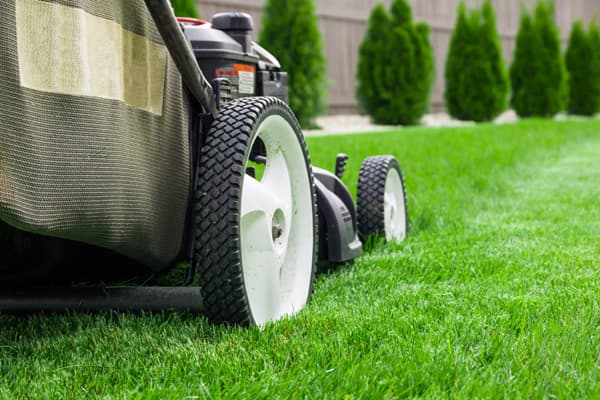 diseño de jardines pequeños en Pontevedra