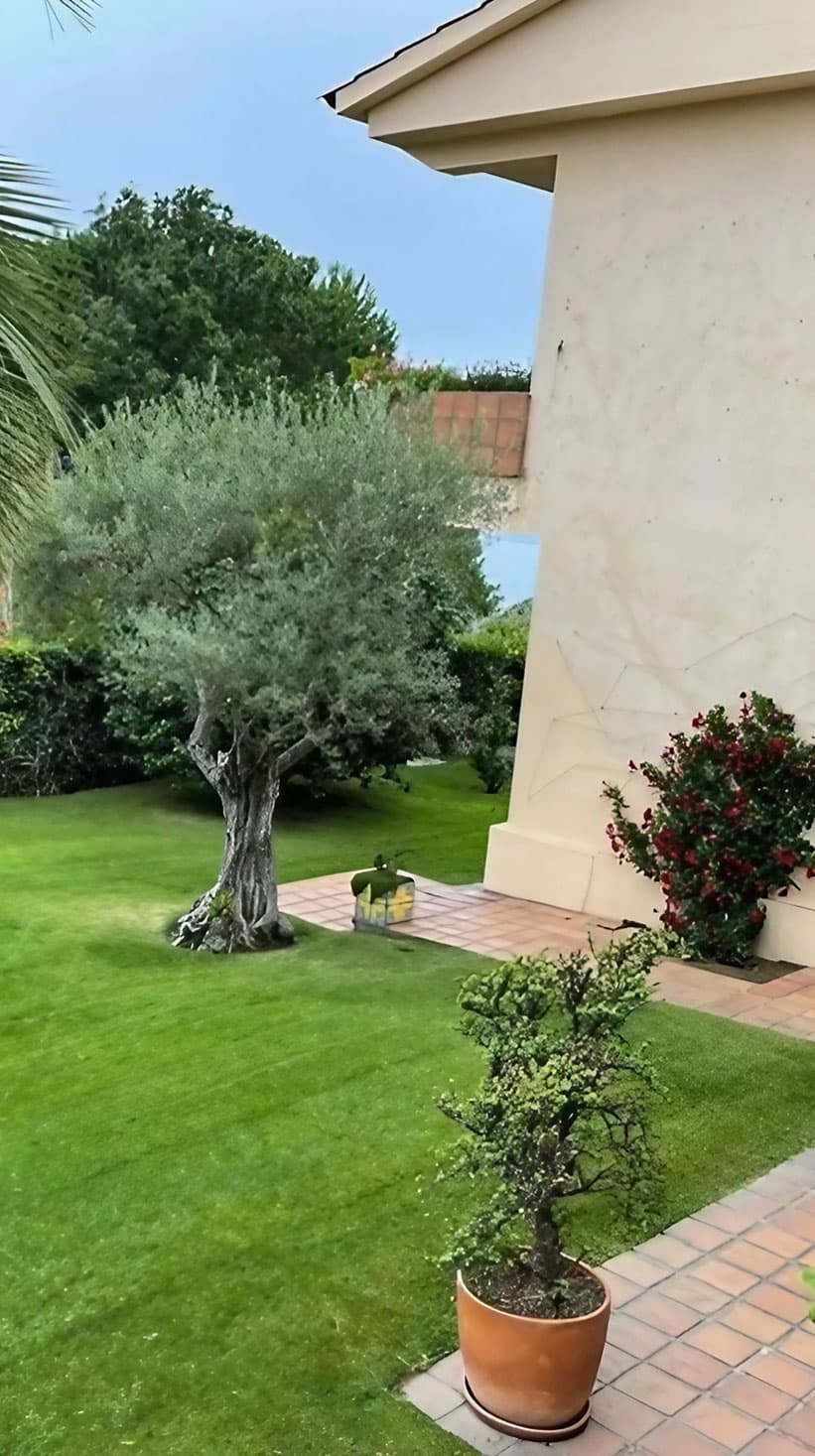 Diseño de jardines en Ourense