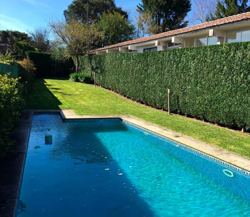 Últimas novedades de Grupo Edén