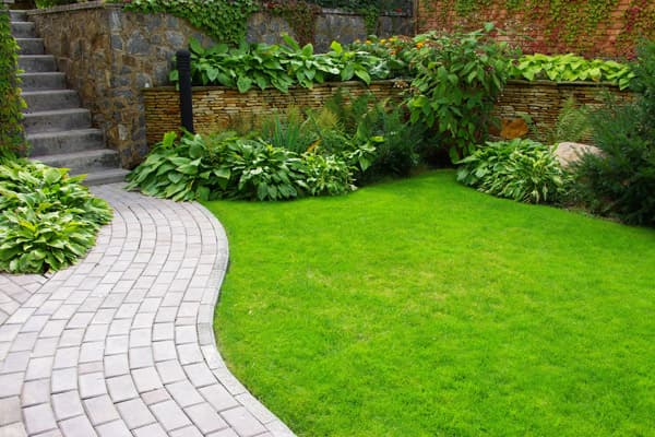 Rocallas en Pontevedra