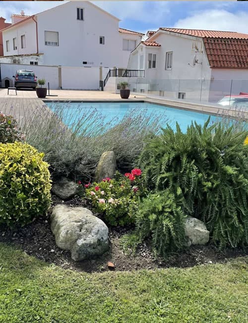 Plantas para rocallas en Pontevedra