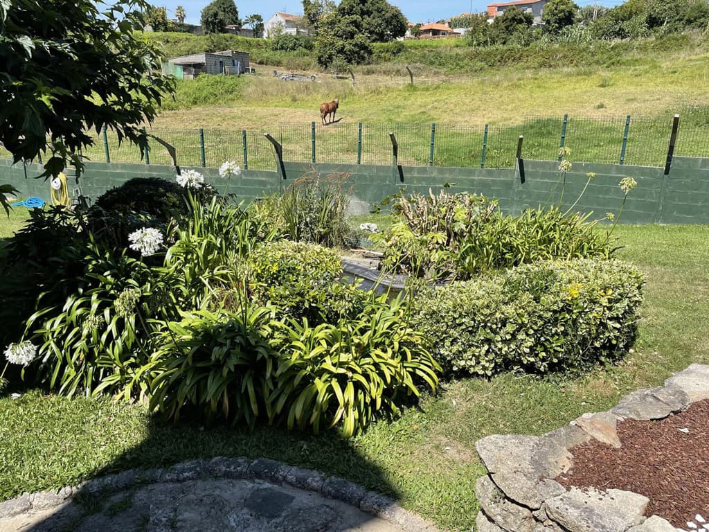 Las rocallas y estanques quedarán geniales en tu jardín