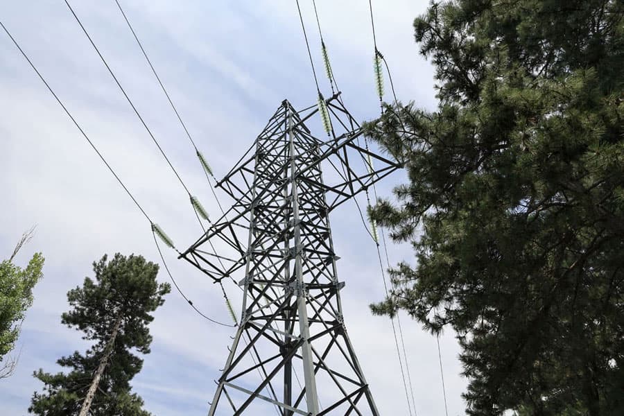 Poda y tala de arboles en altura en Pontevedra