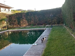 IMG-20250616-WA0033