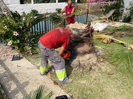IMG-20250616-WA0037