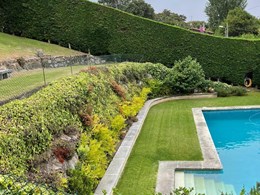 IMG-20250616-WA0039