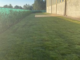 IMG-20250616-WA0081