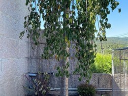 IMG-20250616-WA0096