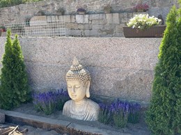 IMG-20250616-WA0098
