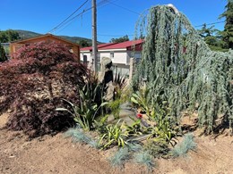 IMG-20250616-WA0103