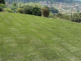 IMG-20250616-WA0105